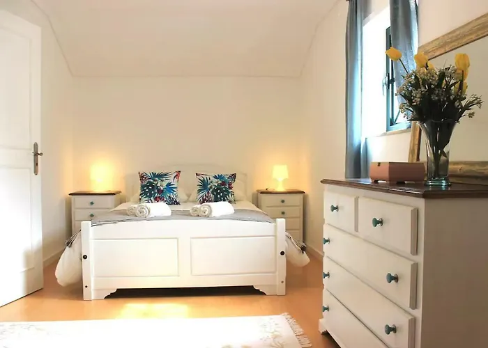 Lovely In The Center Of * Aveiro